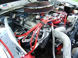 misccarpics013.webp