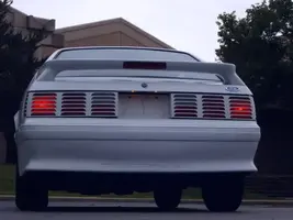Newstang004.webp