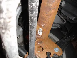 underside of Mustang 004.webp