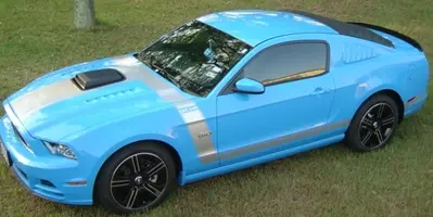 Mustang scoop pics 002.webp