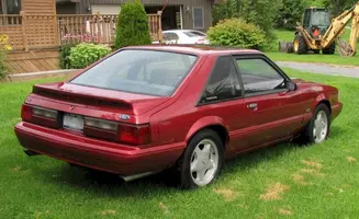 mustang.webp