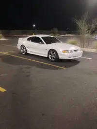 image_1.webp