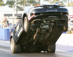 mingolelli1.webp