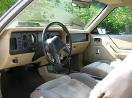 Picture004.webp