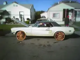 1967_22copy.webp