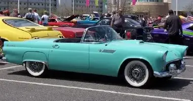 t-birdconv.webp