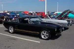 shelbyclone.webp