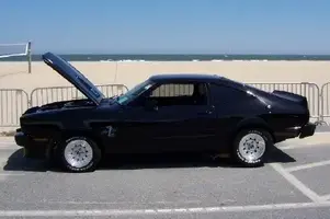 cobra2.webp