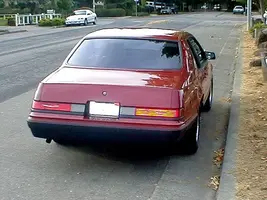 rear.webp