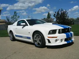 mustang048.webp