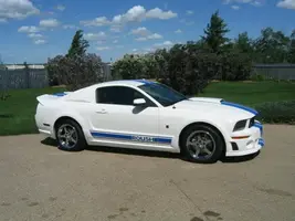 mustang046.webp