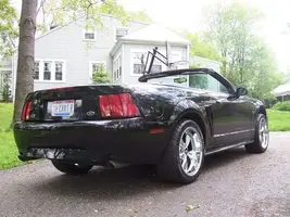 100_1005.webp
