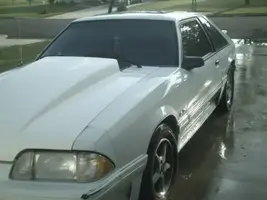 fox4.webp