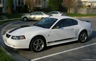 808picture_014.webp