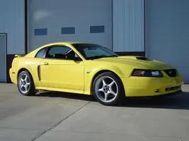 April23,2006003gotstang.webp