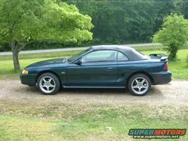 my%20mustang%20011.webp