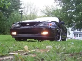 MustangFogs23005.webp