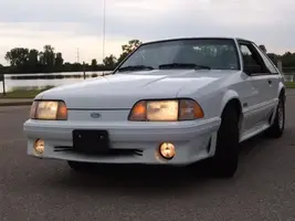 Newstang015.webp