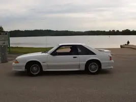 Newstang010.webp