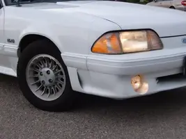 Newstang018.webp