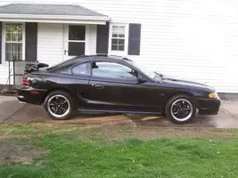 Mustang95002.webp