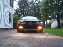 MustangFogs2002.webp