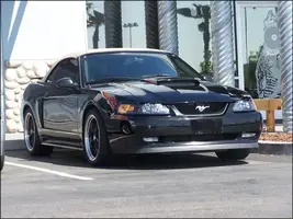 mine.webp