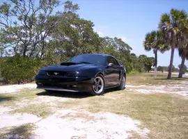 Car6.webp