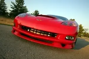 vette4.webp