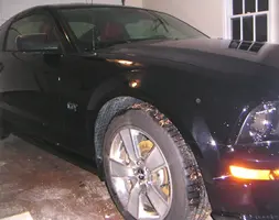 garagestang.webp