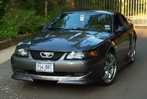 DSGStangs011.webp