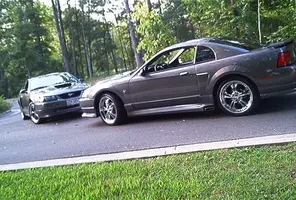 DSGStangs004.webp