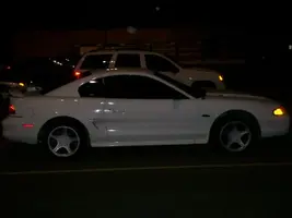 100_0021.webp