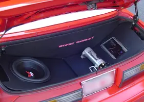 trunk.webp
