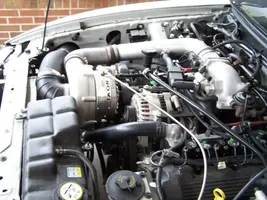 9c4aa248.webp