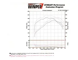 DynoRun1.webp