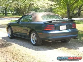 my%20mustang%20008.webp