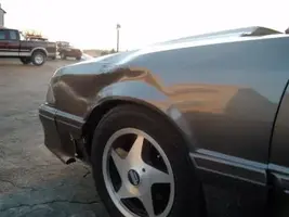 IM000153.webp