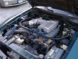 DSCF0462.webp