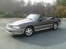 mustangalone.webp
