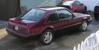 mustang169.webp