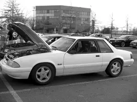 BW.webp