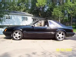 lowered2.webp