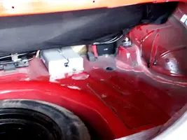 Trunkshocks2.webp