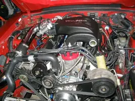 IMG_0859-640x480.webp