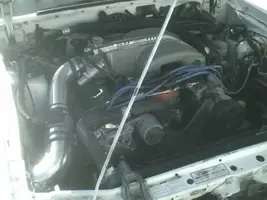 stang6.webp