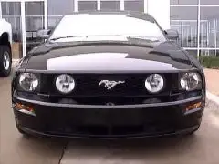 mystang2.webp