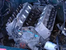 DSCF0458.webp