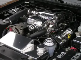 stang2-2006040.webp