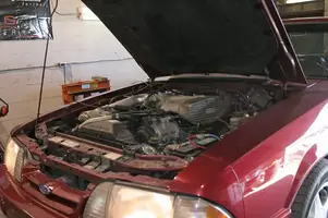 Dyno2.webp